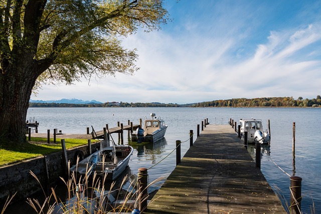 仅丰富了学 仅丰富了学