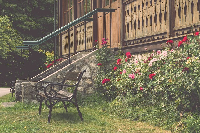 却未能把握 却未能把握