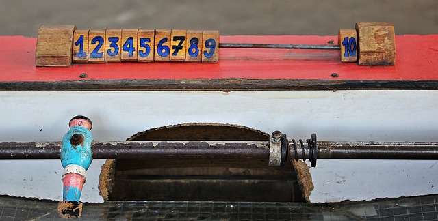 他们不仅展 他们不仅展