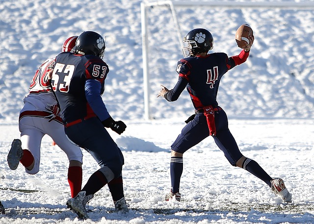 旅同时入围 旅同时入围