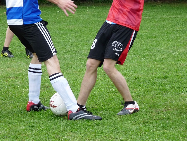 泰山隊的挑 泰山隊的挑