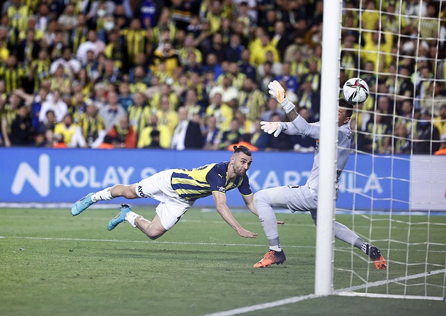 2022世界杯厄瓜多爾簡介.