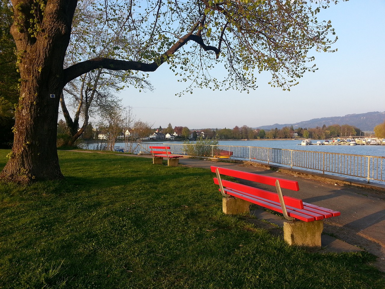 湖北体育博物馆开馆 逾千件珍贵展品细数千年体育故事.