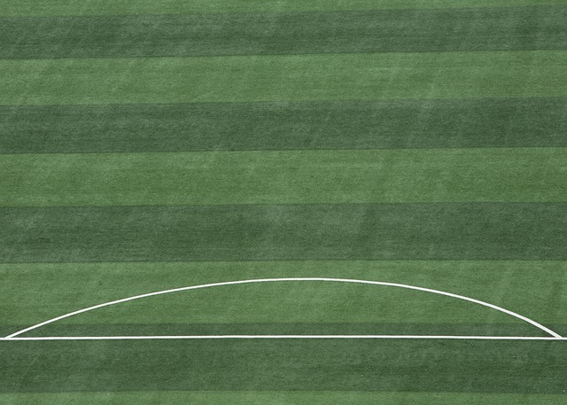 球迷对此抱 球迷对此抱