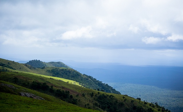 英超豪門曼聯宣布與科特迪瓦中衛拜利續約至2024年.