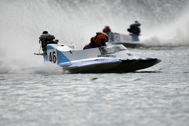 这也为其他 这也为其他