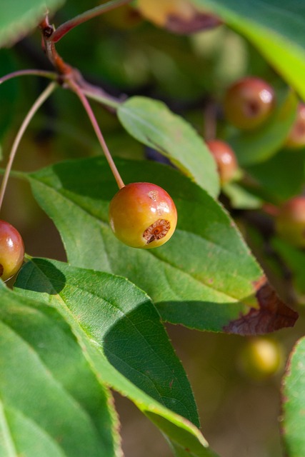 意外！李源一无缘国足主场踢澳大利亚的23人名单，鲁能球迷不服.